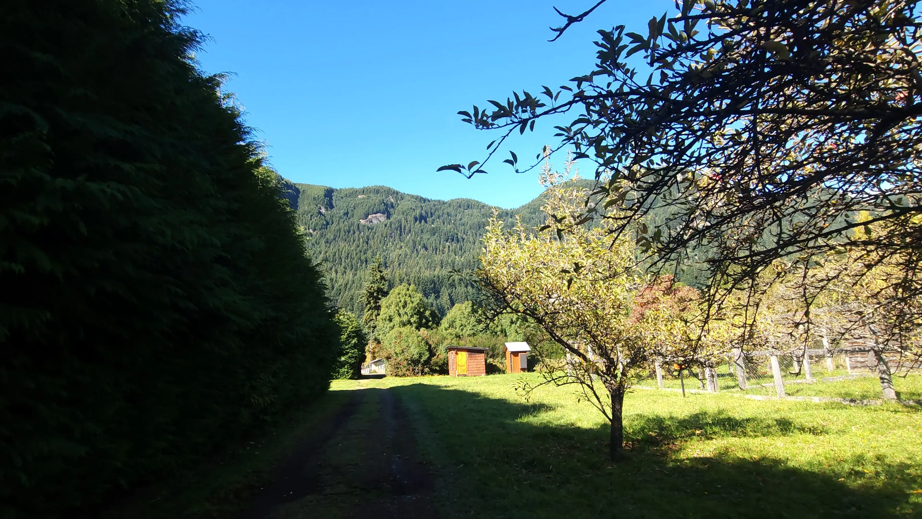 Quincho y galpón entre árboles de otoño