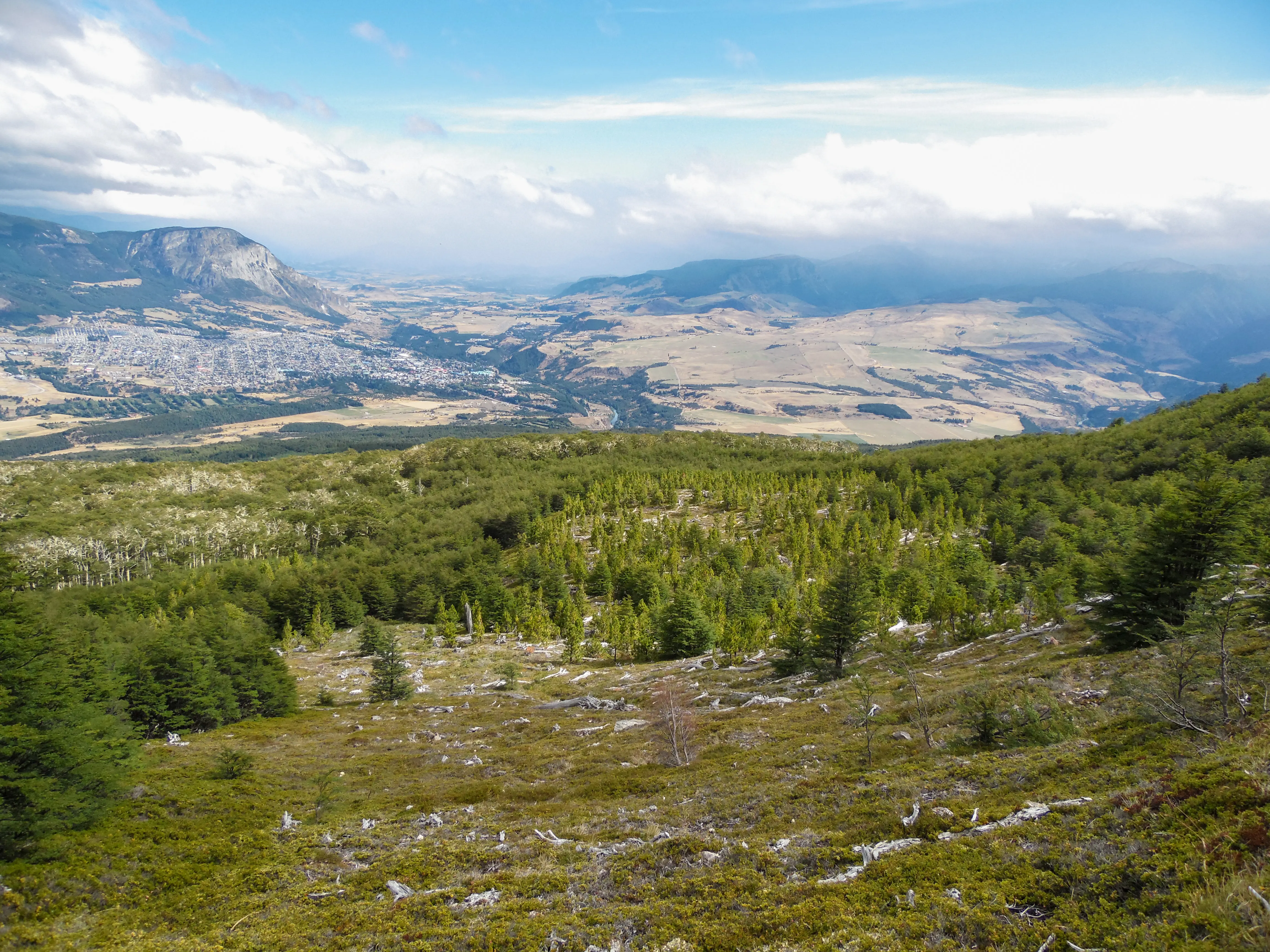 Vista desde la Reserva Nacional Coyhaique hacia el valle y la ciudad