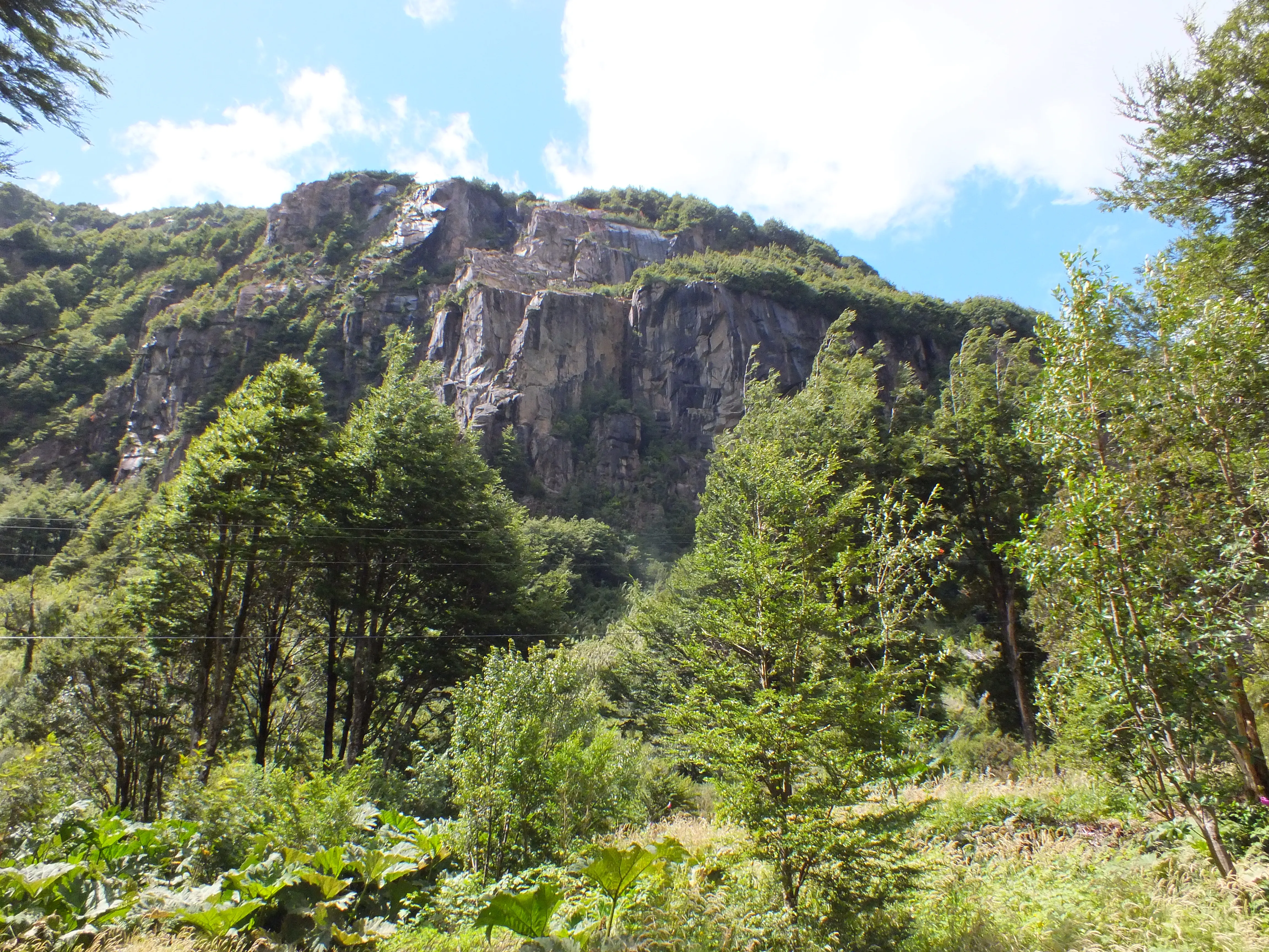 Bosque y cerro rocoso en la Reserva Nacional Río Simpson